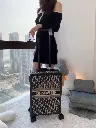 Dior Trolley travel bag, high copy